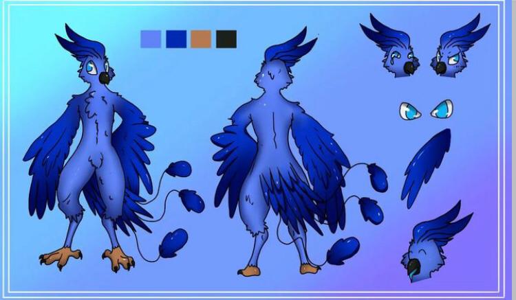 macaw