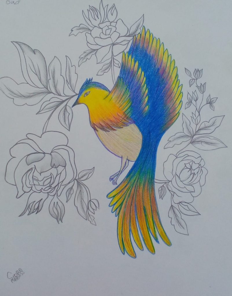 custom-hand-drawing
